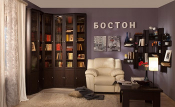 Шкаф для книг завершающий 34 Бостон в Краснокаменске - krasnokamensk.mebel54.com | фото